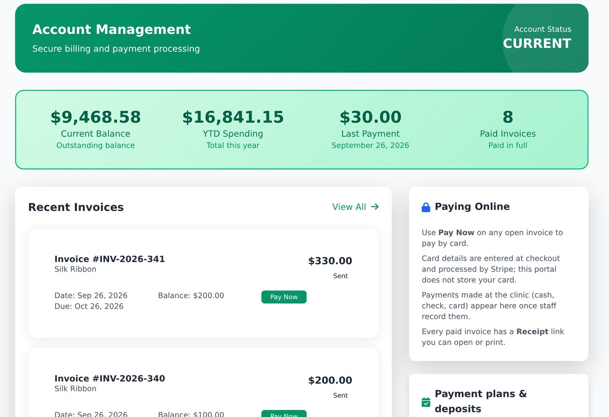 The client portal Billing page: an account summary with current balance and paid invoices, a recent invoice with a green Pay Now button, and a 'Paying Online' panel explaining that card details are entered at Stripe checkout and every paid invoice has a receipt link.
