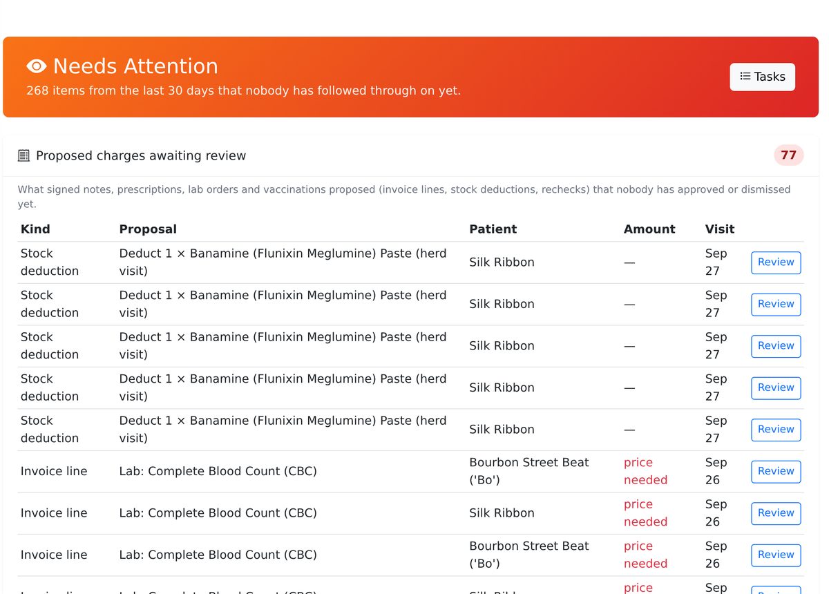 Needs Attention: a red header counting 262 items from the last 30 days nobody has followed through on, and a table of proposed charges awaiting review showing kind, proposal, patient, amount, visit date and a Review button per row.
